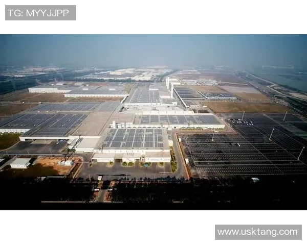 武汉篮球队的崛起之路洲际杯特别报道见证成长与荣耀