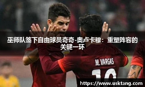 巫师队签下自由球员奇奇-奥卢卡穆：重塑阵容的关键一环