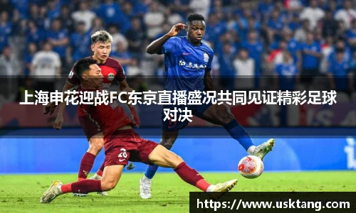 6163银河net163